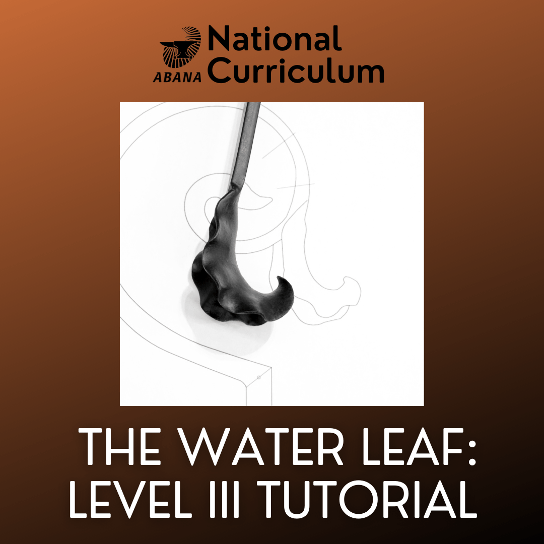 Level III Water Leaf Zoom Session (1)